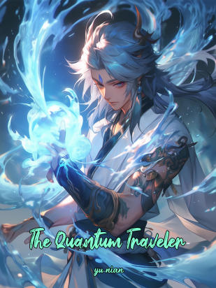 The Quantum Traveler